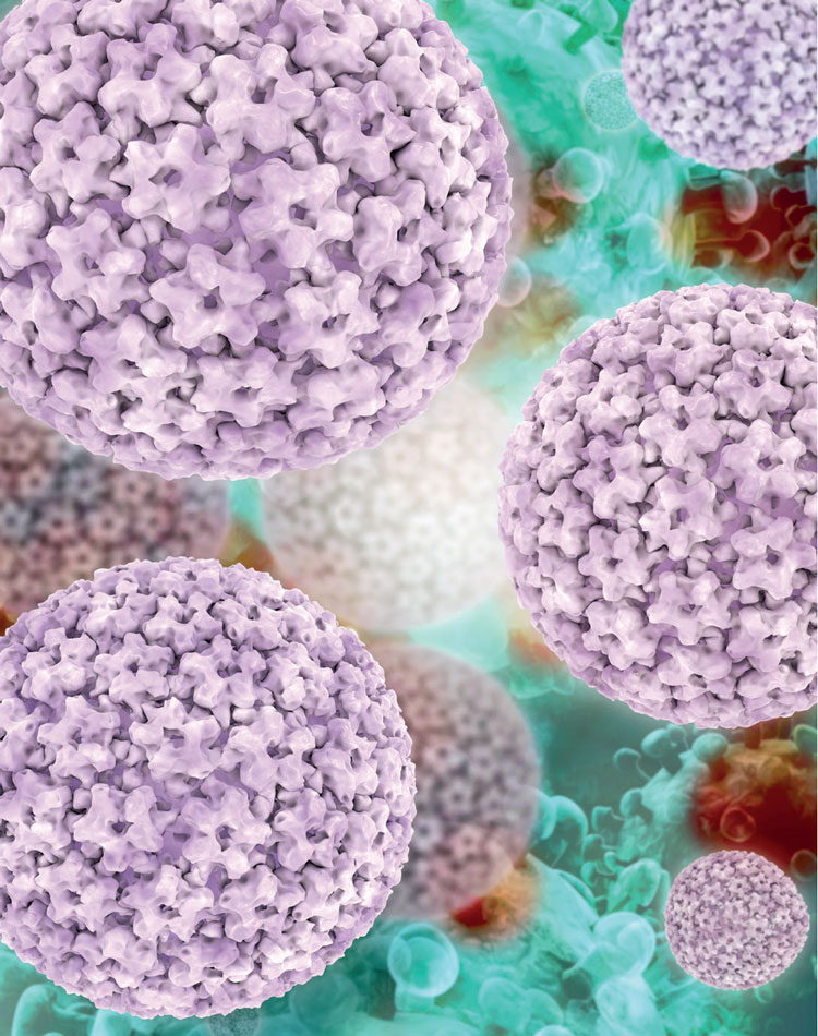 Exploring the feasibility of HPV self-collected sampling - Women's ...