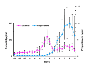 When estrogen and progesterone reach a certain threshold level, the body decreases their production. Dharani Kalidasan/R.I. McLachlan et al. 1987 via Wikimedia Commons, CC BY-SA