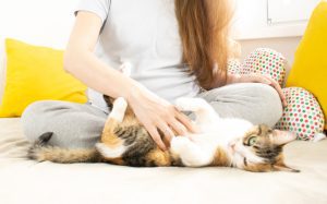 Pregnant woman petting a cat