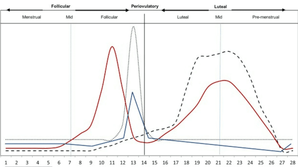 Chart showing out hormone levels change throughout the menstrual cycle.