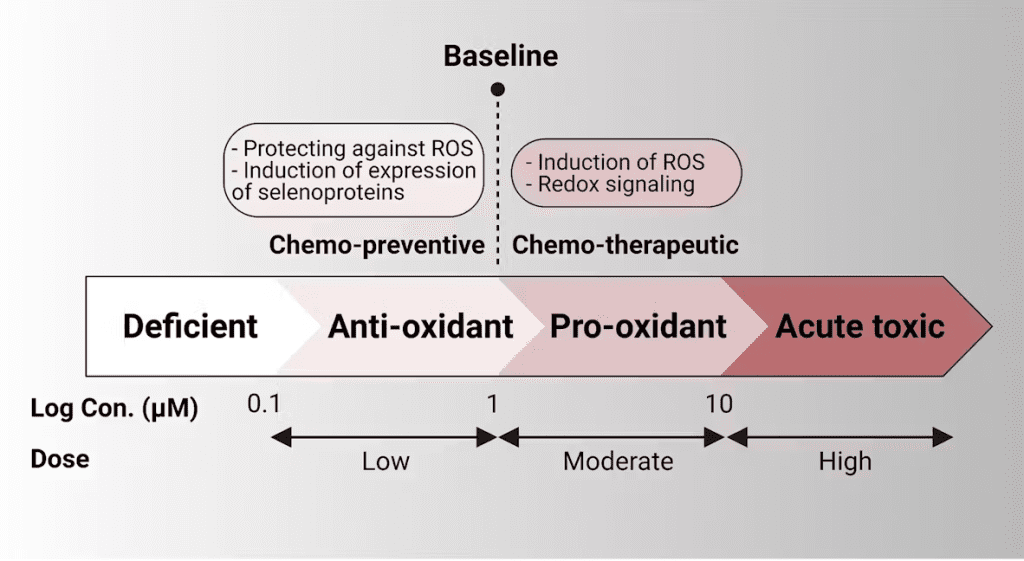 The antioxidant effects of selenium