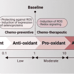 The antioxidant effects of selenium