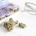 cannabis and older users